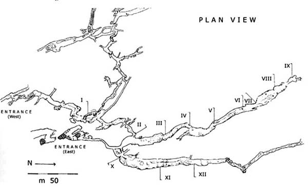 Total plan of Grotta dei Cervi